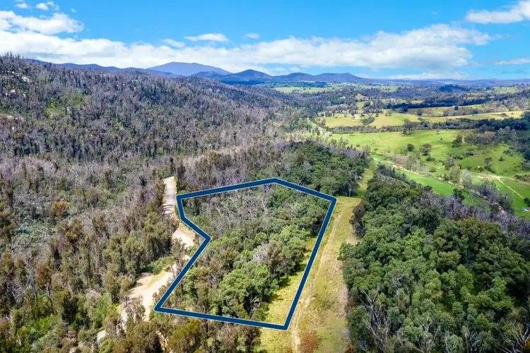 Second view of Homely rural property listing, 909 Yowrie Road, Yowrie NSW 2550