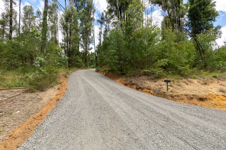Third view of Homely rural property listing, 909 Yowrie Road, Yowrie NSW 2550