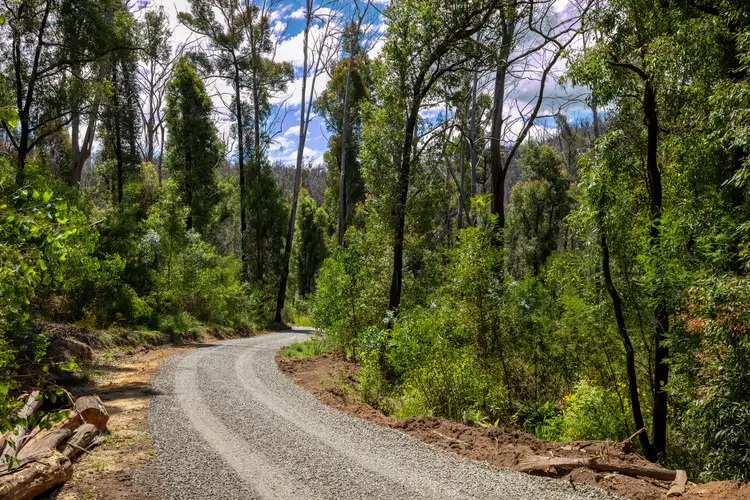 Fourth view of Homely rural property listing, 909 Yowrie Road, Yowrie NSW 2550