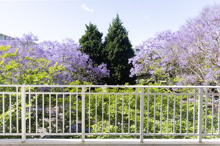 Sixth view of Homely apartment listing, 210/3 Palm Avenue, Breakfast Point NSW 2137
