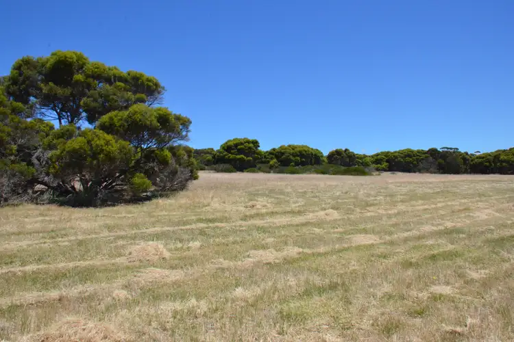 Third view of Homely rural property listing, Lot 18 Shoals Road, Kingscote SA 5223