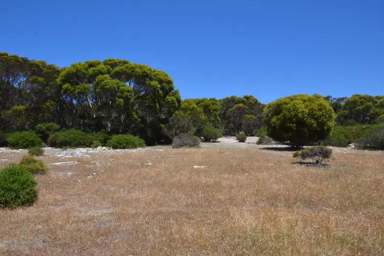 Fourth view of Homely rural property listing, Lot 18 Shoals Road, Kingscote SA 5223