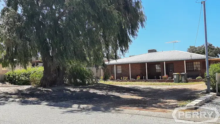 Main view of Homely house listing, 17 Iluka Road, Dawesville WA 6211