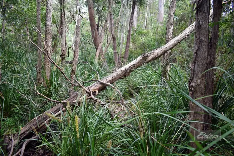 Sixth view of Homely land listing, Lot 213 Arborthree Road, Glenwood QLD 4570