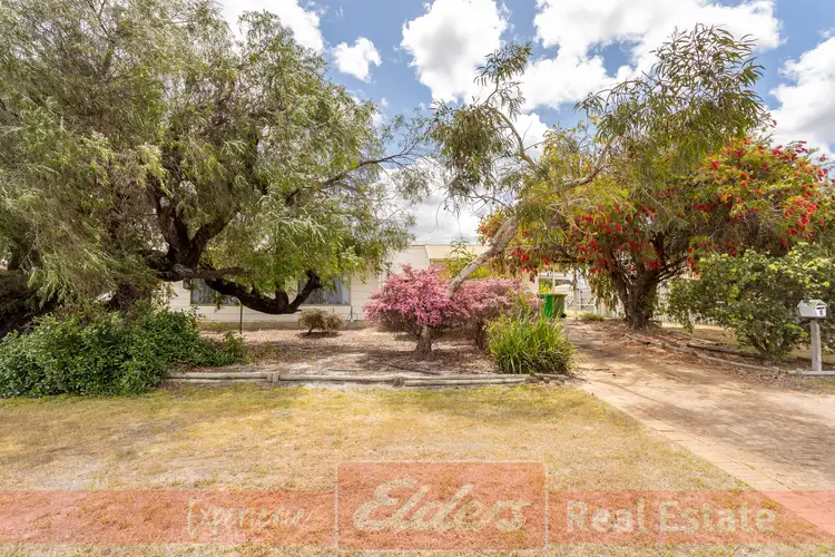 9 Berkshire Street, Capel WA 6271