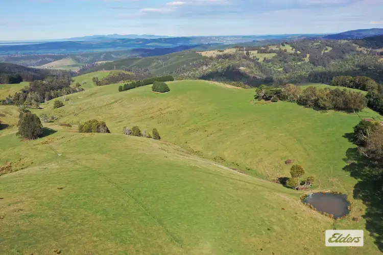Seventh view of Homely rural property listing, Kallady Road, Madalya VIC 3971