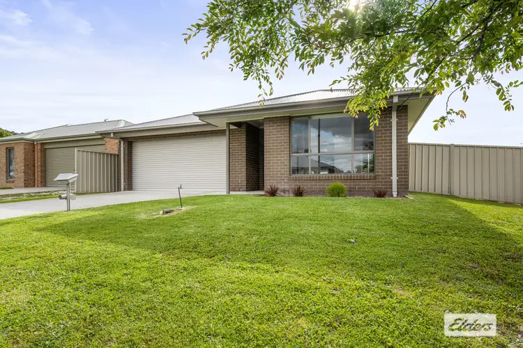Main view of Homely house listing, 37 Peeler Street, Wodonga VIC 3690