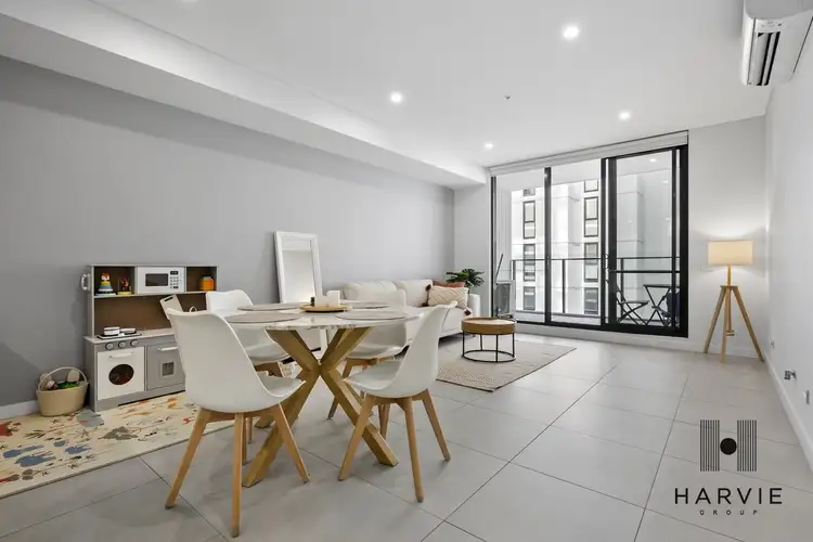 304/28B Northumberland Road, Auburn NSW 2144