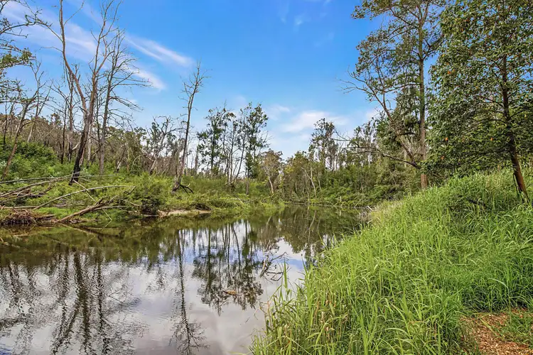 Main view of Homely land listing, LOT 61 Egans Road, Runnyford NSW 2536