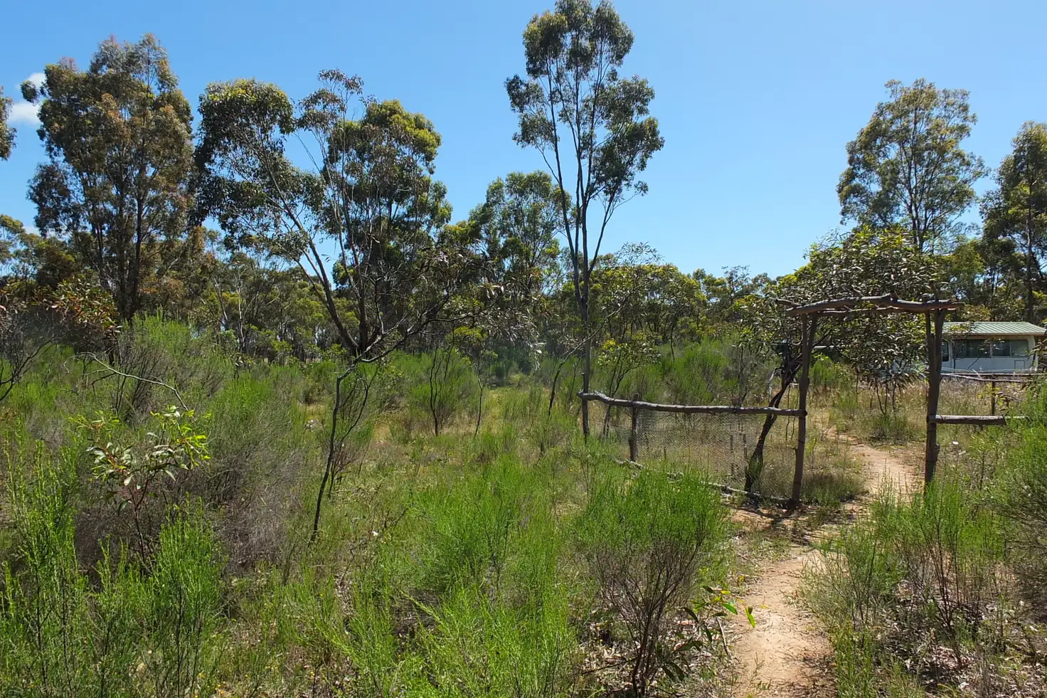 Main view of Homely rural property listing, CA33 Bucknall Road, Tanwood VIC 3478