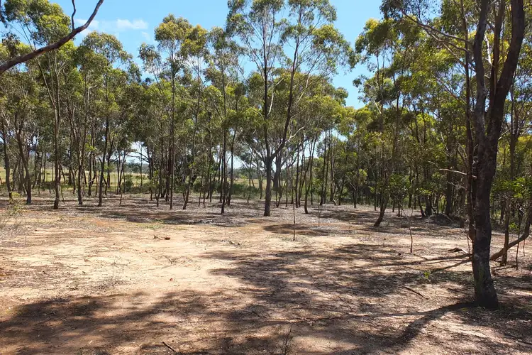 Second view of Homely rural property listing, CA33 Bucknall Road, Tanwood VIC 3478