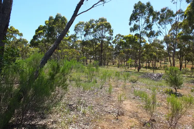 Third view of Homely rural property listing, CA33 Bucknall Road, Tanwood VIC 3478