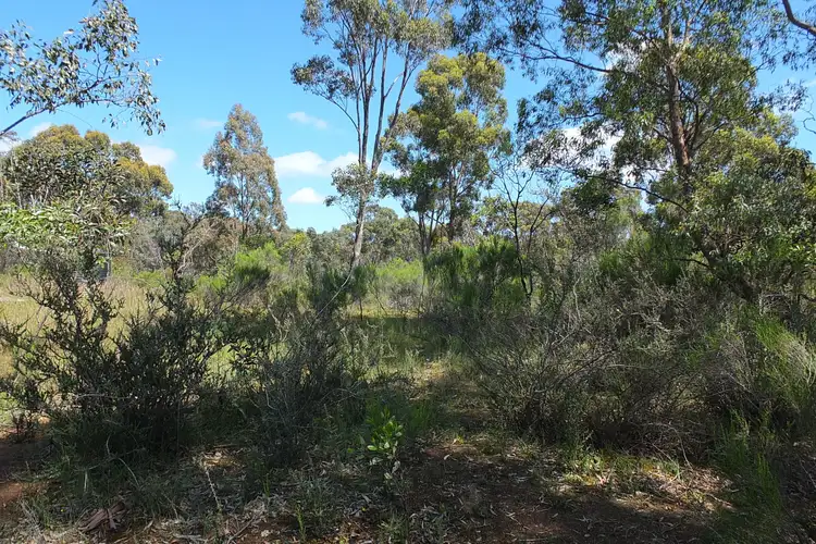 Fourth view of Homely rural property listing, CA33 Bucknall Road, Tanwood VIC 3478