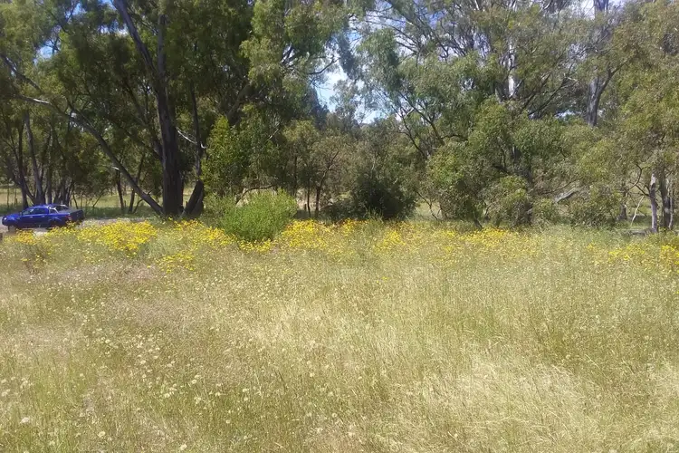 Fourth view of Homely rural property listing, 2604 Wedderburn-Dunolly Road, Mcintyre VIC 3472