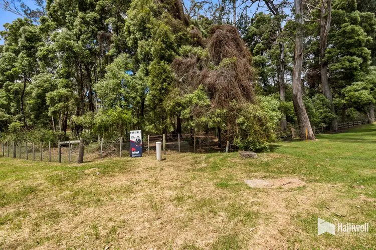 Fifth view of Homely rural property listing, 60 Gardams Road, Port Sorell TAS 7307