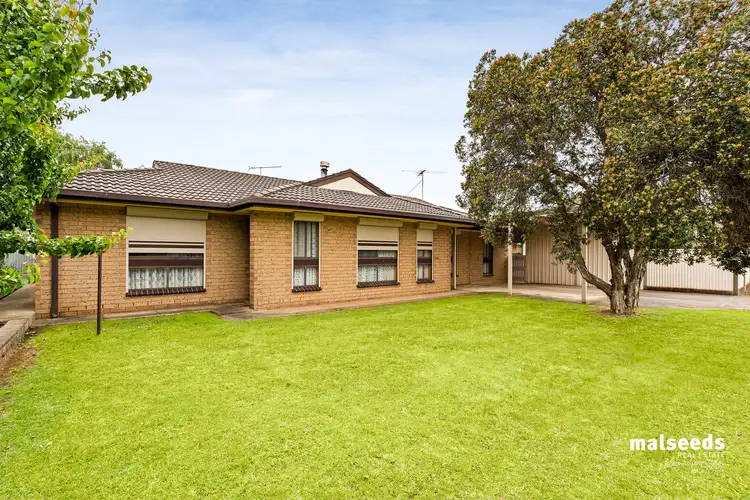 Main view of Homely house listing, 34 Tolmie Street, Mount Gambier SA 5290