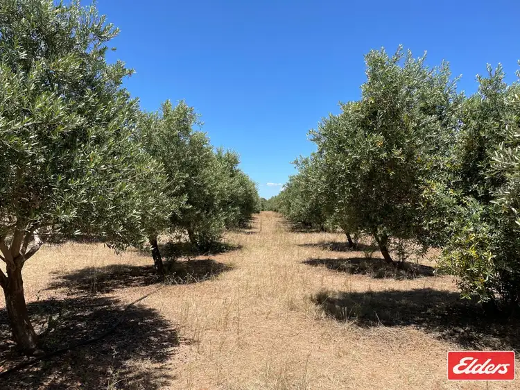 Fifth view of Homely land listing, LOT 32 (216) Parkers Road, Gawler Belt SA 5118