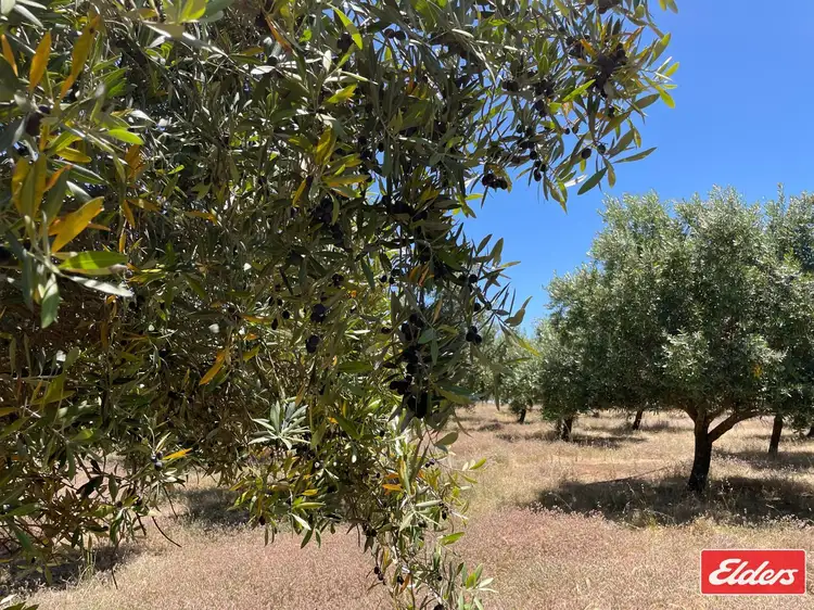 Sixth view of Homely land listing, LOT 32 (216) Parkers Road, Gawler Belt SA 5118