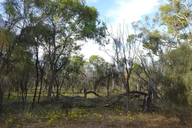 Second view of Homely rural property listing, Lot 12944 Nomans Lake, Nomans Lake WA 6312