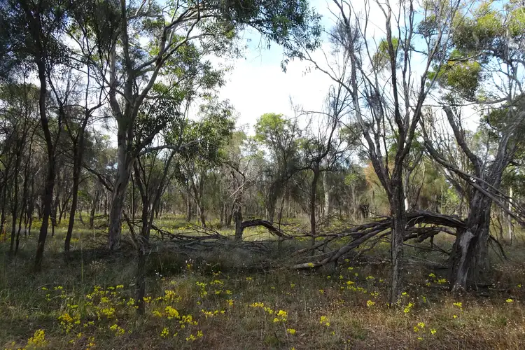 Third view of Homely rural property listing, Lot 12944 Nomans Lake, Nomans Lake WA 6312