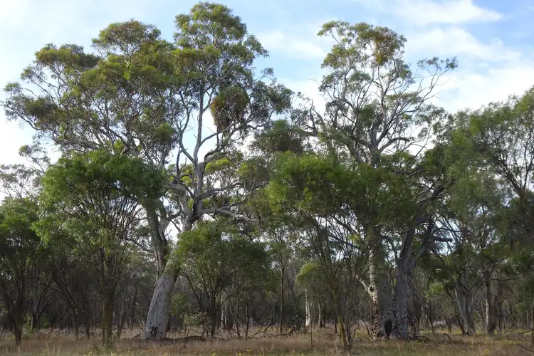 Fourth view of Homely rural property listing, Lot 12944 Nomans Lake, Nomans Lake WA 6312