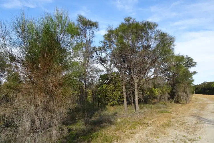 Sixth view of Homely rural property listing, Lot 12944 Nomans Lake, Nomans Lake WA 6312
