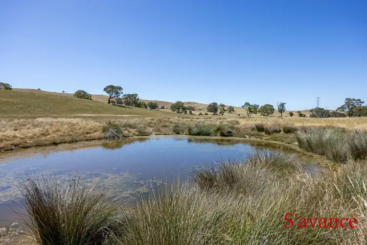 Main view of Homely land listing, Lot 51 Fendlers Road, Tungkillo SA 5236