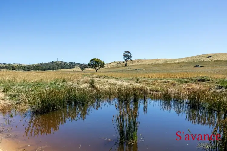 Third view of Homely land listing, Lot 51 Fendlers Road, Tungkillo SA 5236