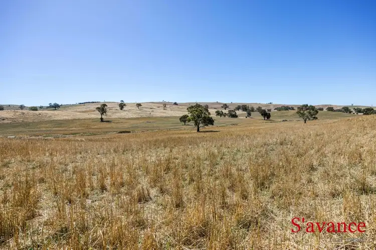 Fifth view of Homely land listing, Lot 51 Fendlers Road, Tungkillo SA 5236