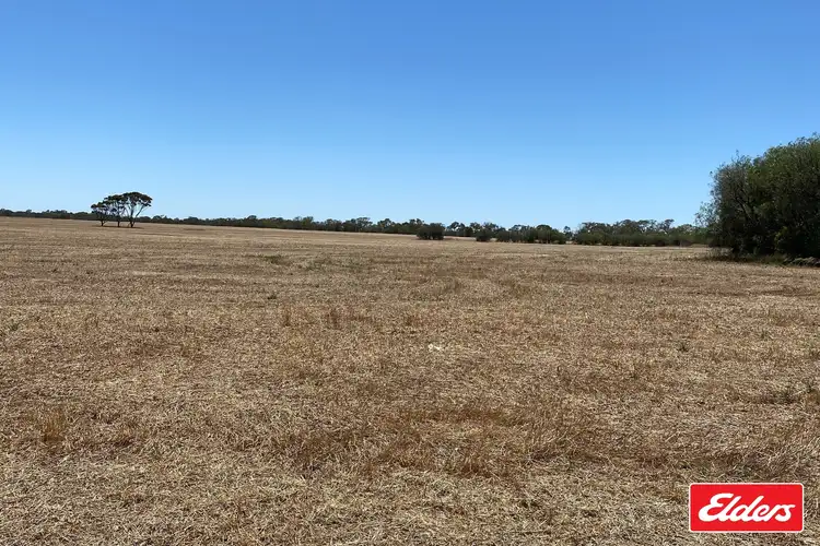 Fifth view of Homely rural property listing, LOT 391 Port Wakefield Road, Lower Light SA 5501