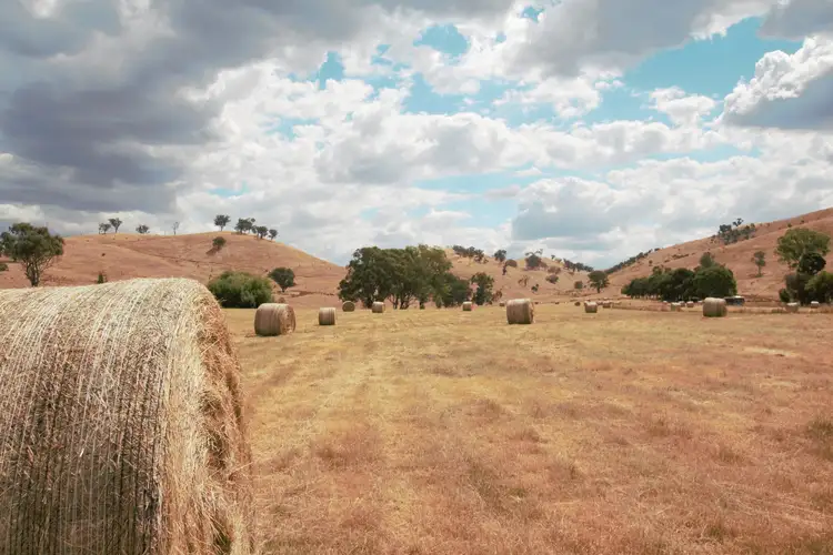 Second view of Homely land listing, Lot 2/565 Dry Creek Road, Bonnie Doon VIC 3720