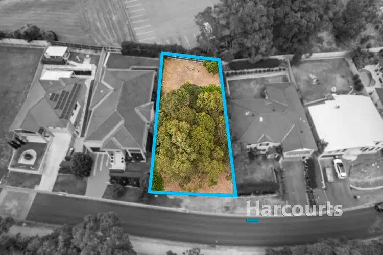 21 Cupania Crescent, Garden Suburb NSW 2289
