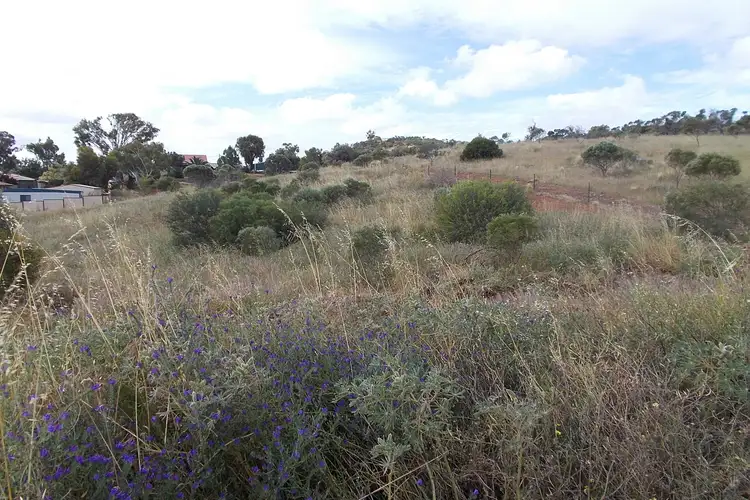 Main view of Homely land listing, 126 Wannerenooka Road, Northampton WA 6535