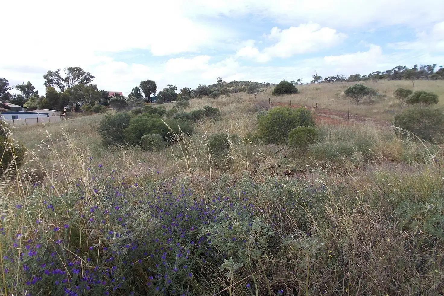 Main view of Homely land listing, 126 Wannerenooka Road, Northampton WA 6535