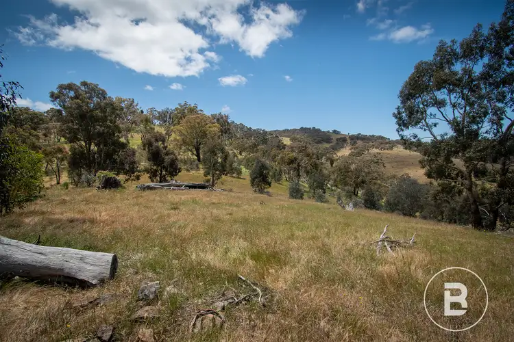 Second view of Homely land listing, 233 Tormeys Lane, Moonambel VIC 3478