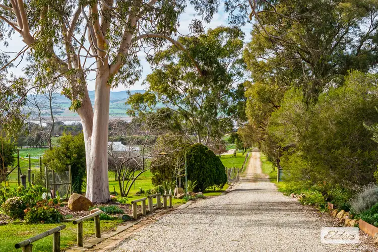 Third view of Homely rural property listing, 1055 Table Top Road, Table Top NSW 2640