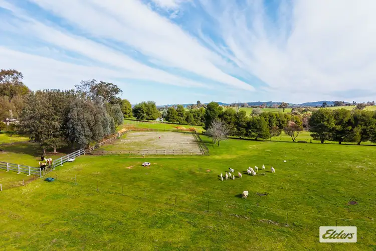 Fifth view of Homely rural property listing, 1055 Table Top Road, Table Top NSW 2640
