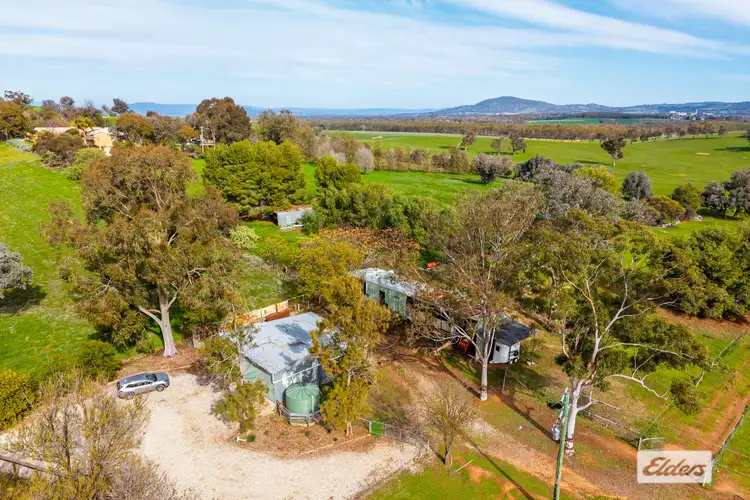 Sixth view of Homely rural property listing, 1055 Table Top Road, Table Top NSW 2640