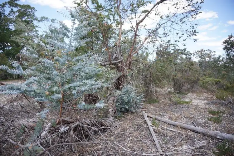 Fourth view of Homely land listing, 728 Duffy Road, Bambun WA 6503