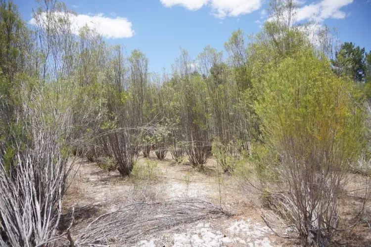 Sixth view of Homely land listing, 728 Duffy Road, Bambun WA 6503