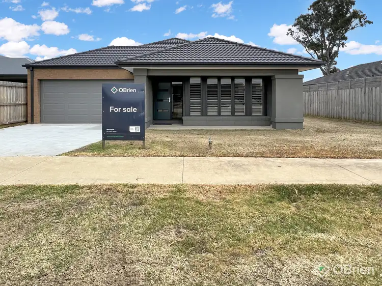 Main view of Homely house listing, 12 Glendon Drive, Eastwood VIC 3875