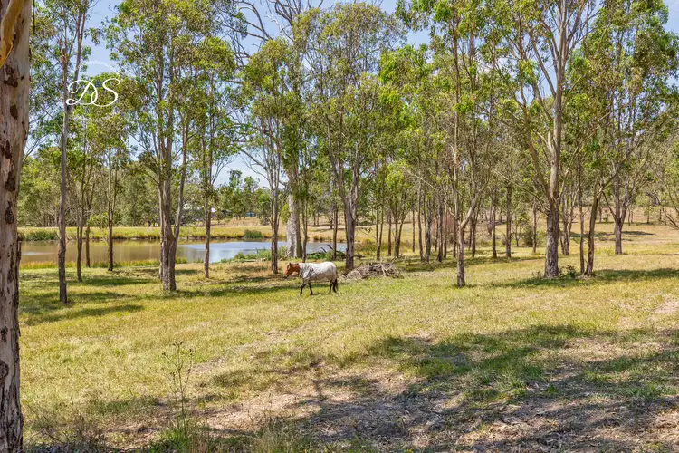 Fourth view of Homely rural property listing, 27B Park Street, East Gresford NSW 2311