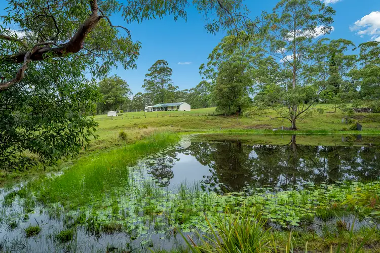 Main view of Homely rural property listing, 750 Newmans Road, Wootton NSW 2423