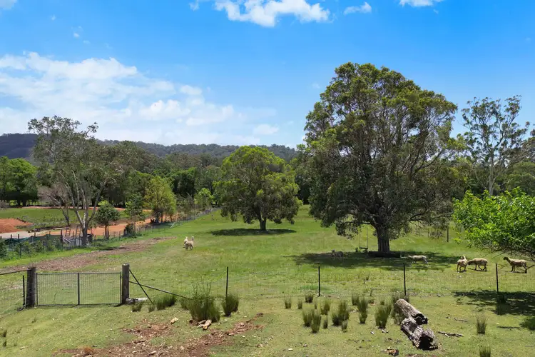 Main view of Homely land listing, 33 Williams Road, Bonville NSW 2450