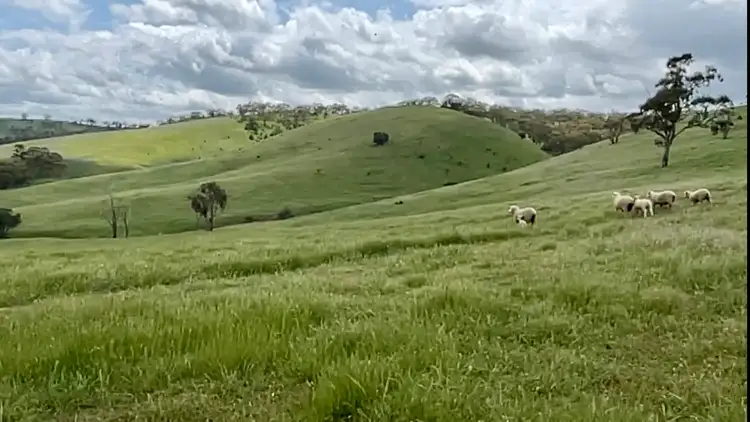 Third view of Homely rural property listing, Level 20 Scobie Road, Emu Flat SA 5453