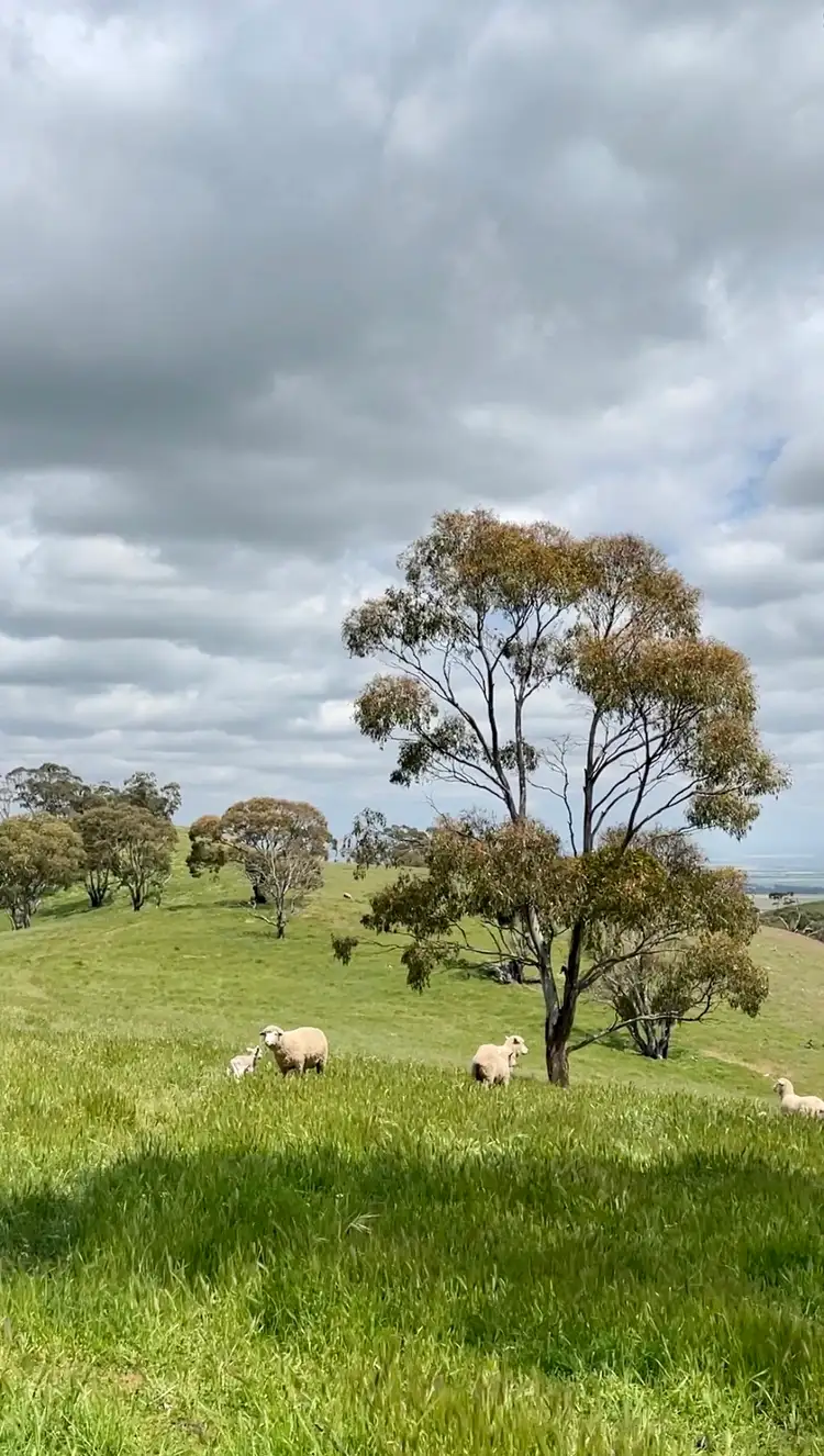 Fifth view of Homely rural property listing, Level 20 Scobie Road, Emu Flat SA 5453