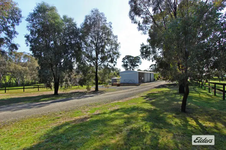 Seventh view of Homely rural property listing, 63 Glen Clare Drive, Sedgwick VIC 3551