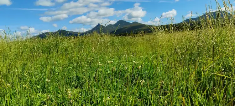 Seventh view of Homely land listing, LOT 2 Lady Barron Road, Ranga TAS 7255