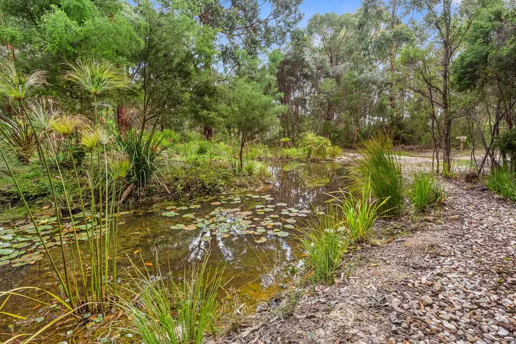 Fourth view of Homely rural property listing, 318 Old Ocean Road, Glenaire VIC 3238