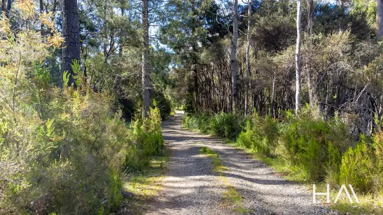 Sixth view of Homely house listing, 143 Goullees Road, Underwood TAS 7268